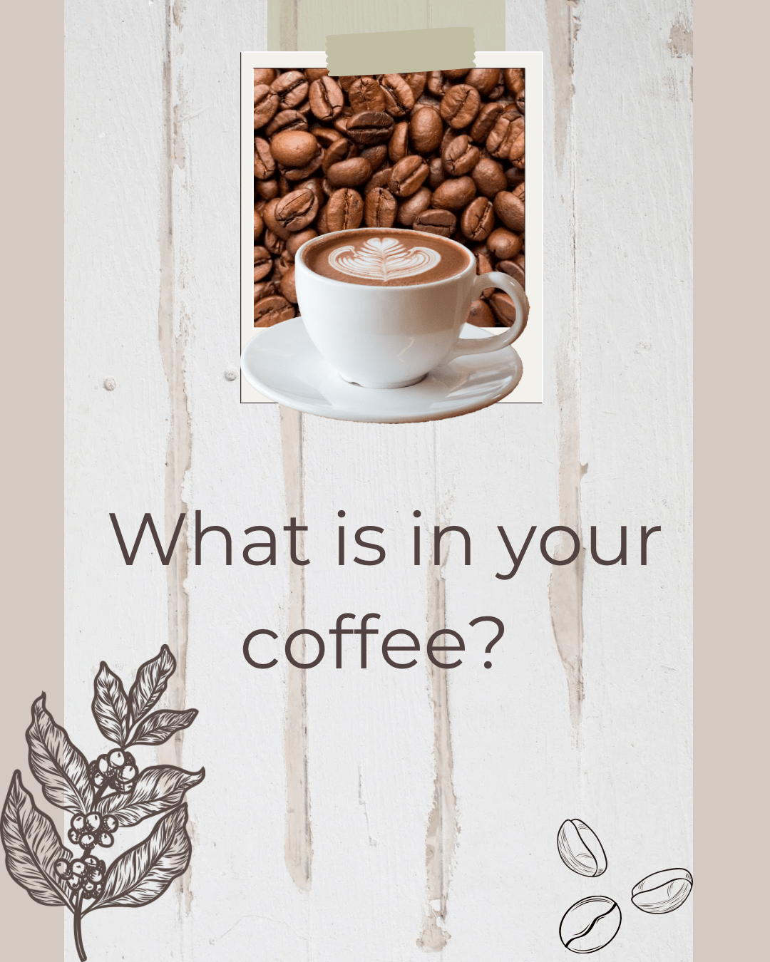 What’s in your&nbsp;coffee?
